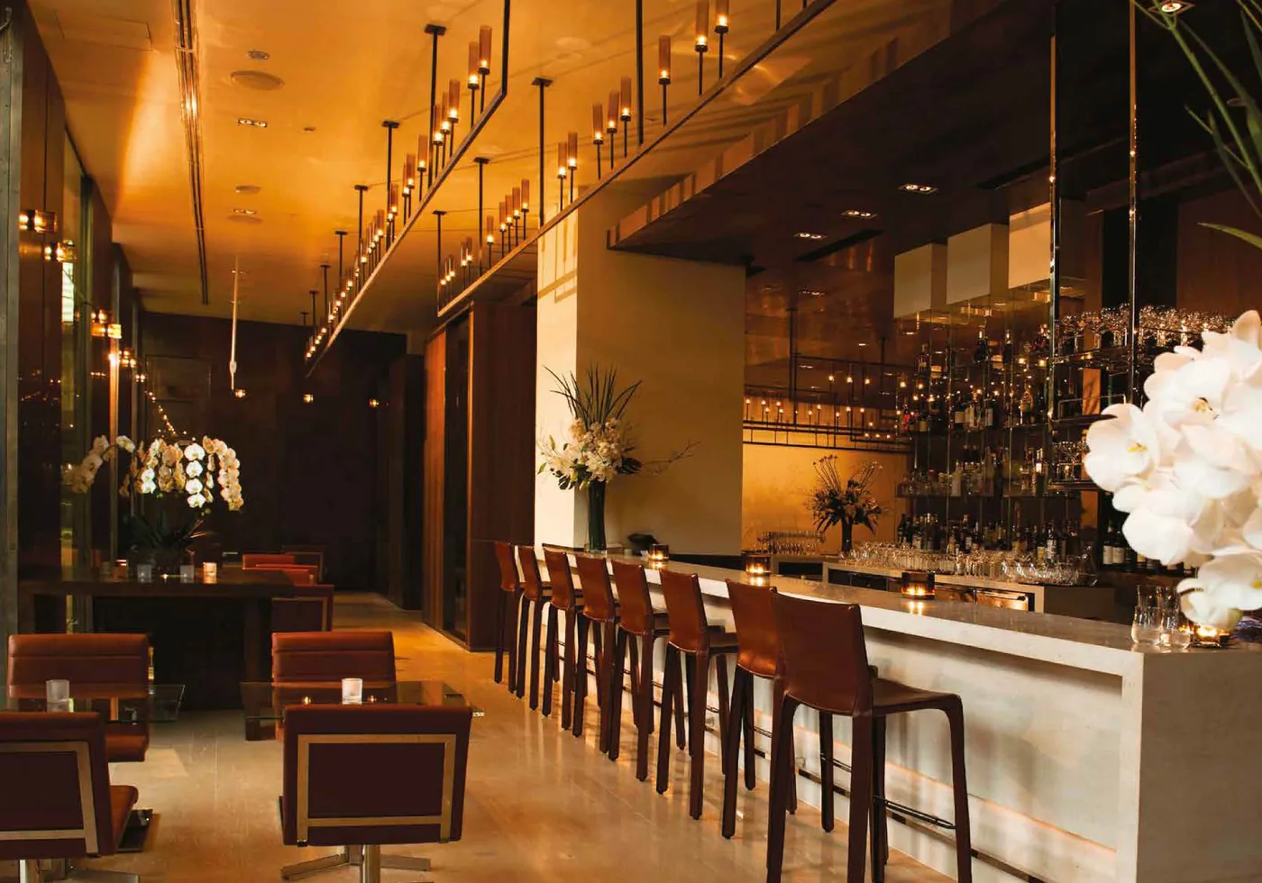 Hospitality bar with timber stools and warm pendant lighting